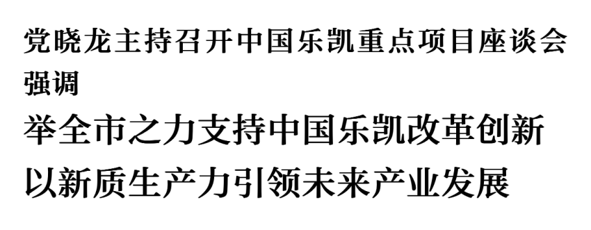 黨曉龍主持召開(kāi)中國樂(lè )凱重點(diǎn)項目座談會(huì )